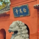 洛阳市旅游 缩略图 4