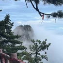 洛阳市旅游 缩略图 7