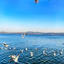 洛阳市旅游 缩略图 9