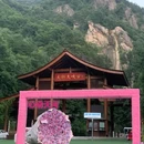 洛阳市旅游 缩略图 13