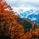 呼伦贝尔市旅游 缩略图 2