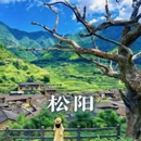 丽水市旅游 缩略图 1