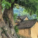 丽水市旅游 缩略图 3