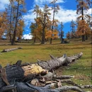阿勒泰地区旅游 缩略图 2