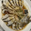 阿勒泰地区旅游 缩略图 6