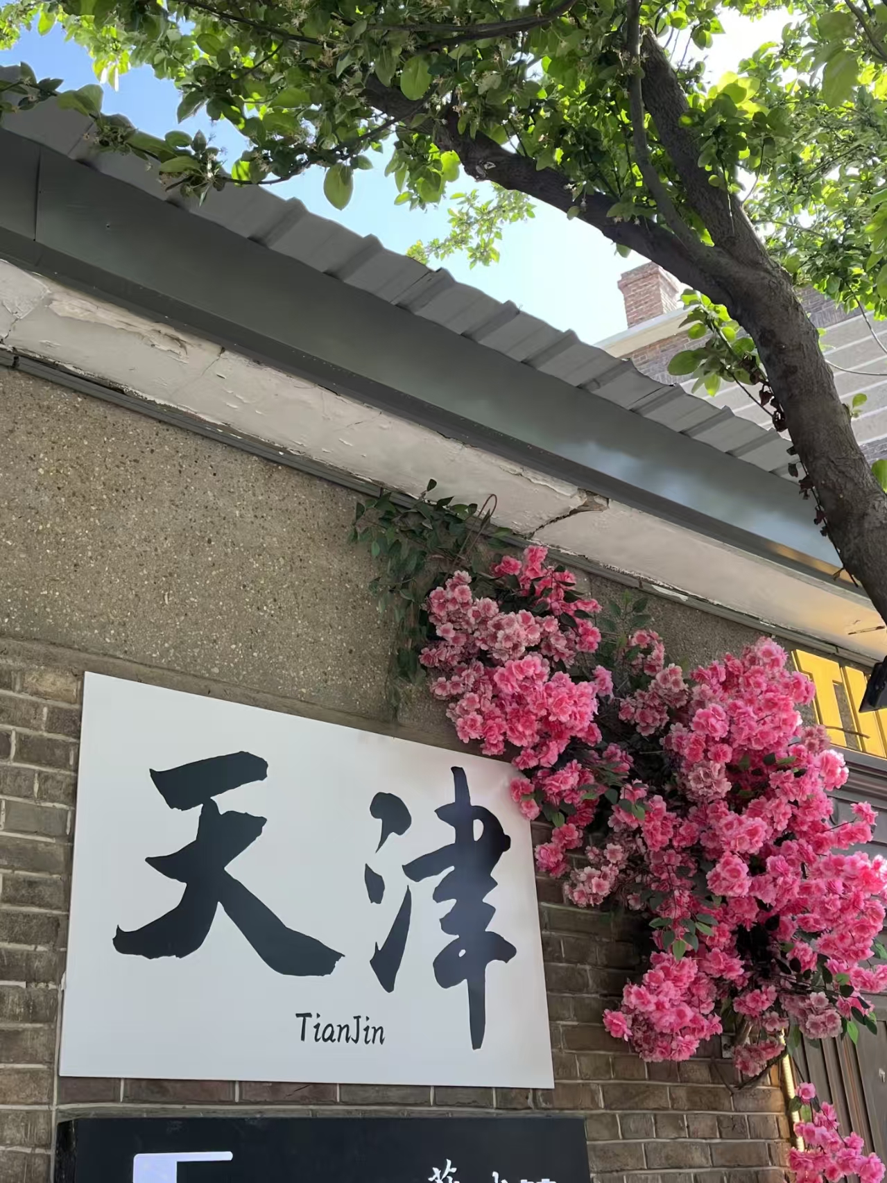 天津市旅游