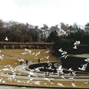 南京市旅游 缩略图 2