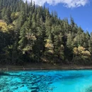 成都市旅游 缩略图 13