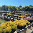 开封市旅游 缩略图 2